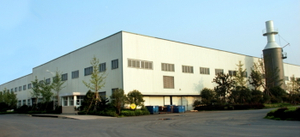Hangzhou Dingsheng Industrial Group Co., Ltd
