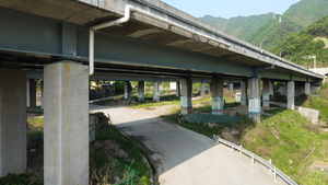 G25 Fuyang-G60 Zhuji Spresswy Link (раздел Fuyang)